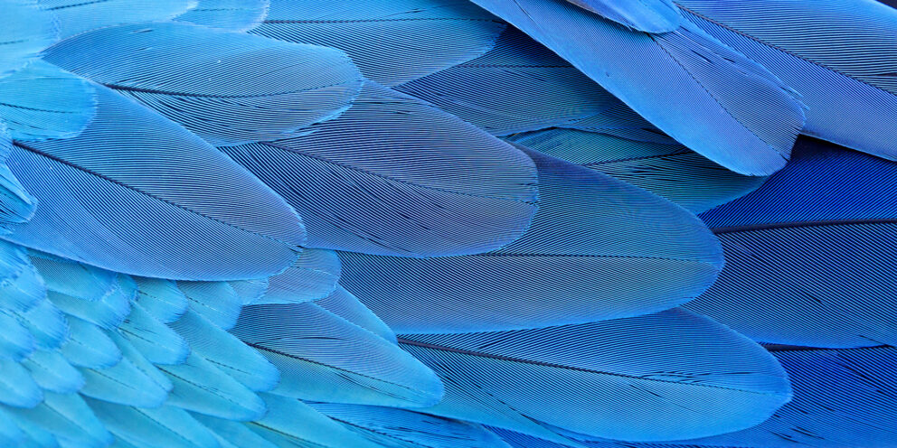 Twitter annonce de nouveaux services