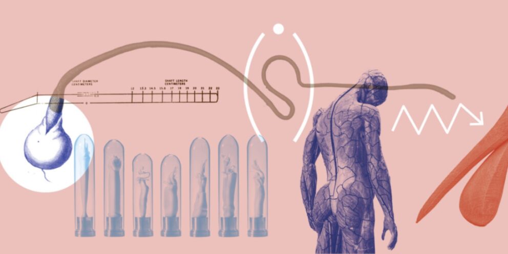 Bezoekers warm maken voor de tentoonstelling PHALLUS. Norm & Vorm