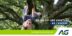 AG Insurance s’assure avec ZIGT